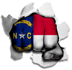 Fist North Carolina State Flag Logo heat sticker