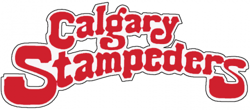 Calgary Stampeders 1980-1985 Wordmark Logo heat sticker