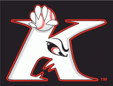 Kannapolis Intimidators 2001-Pres Cap Logo heat sticker
