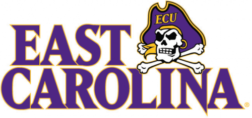 East Carolina Pirates 2014-Pres Wordmark Logo 04 custom vinyl decal