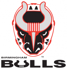Birmingham Bulls 2017 18-Pres Primary Logo heat sticker
