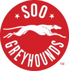 Sault Ste. Marie Greyhounds 2013 14-Pres Primary Logo custom vinyl decal