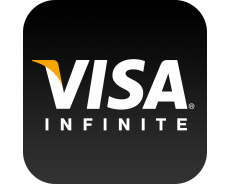 Visa brand logo 02 heat sticker