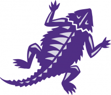 TCU Horned Frogs 2001-Pres Alternate Logo 01 heat sticker