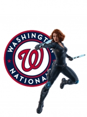 Washington Nationals Black Widow Logo heat sticker