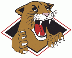 Prince George Cougars 2002 03-2007 08 Primary Logo heat sticker
