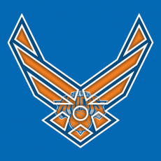 Airforce New York Knicks Logo custom vinyl decal