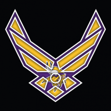 Airforce Minnesota Vikings Logo heat sticker