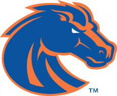 Boise State Broncos 2013-Pres Primary Logo custom vinyl decal