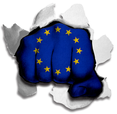 Fist European Union Flag Logo custom vinyl decal