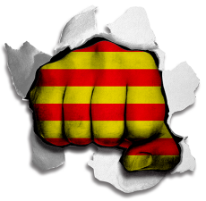 Fist Catalonia Flag Logo heat sticker