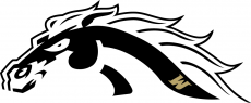 Western Michigan Broncos 2016-Pres Misc Logo 01 heat sticker