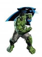 Carolina Panthers Hulk Logo heat sticker
