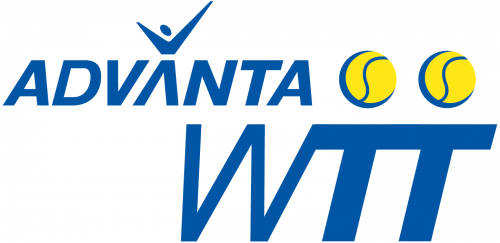 World TeamTennis 2008-2009 Primary Logo heat sticker