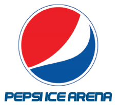 Pepsi brand logo 02 heat sticker