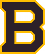 Boston Bruins 2018 19 Special Event Logo heat sticker
