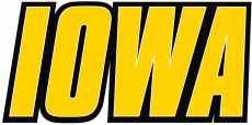 Iowa Hawkeyes 2002-Pres Wordmark Logo 04 custom vinyl decal