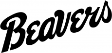 Bemidji State Beavers 2004-Pres Wordmark Logo 01 heat sticker