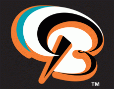 Bowie BaySox 2002-Pres Cap Logo 2 heat sticker