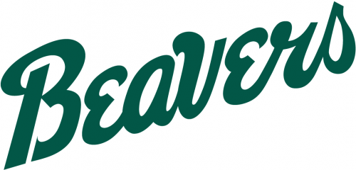 Bemidji State Beavers 2004-Pres Wordmark Logo heat sticker