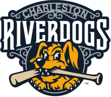 Charleston Riverdogs 2016-Pres Primary Logo heat sticker