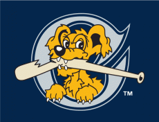 Charleston Riverdogs 2011-2015 Cap Logo heat sticker