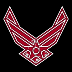 Airforce Boston Red Sox Logo heat sticker