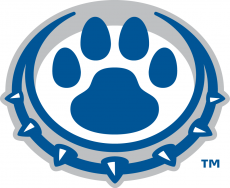 Drake Bulldogs 2015-Pres Alternate Logo 03 heat sticker