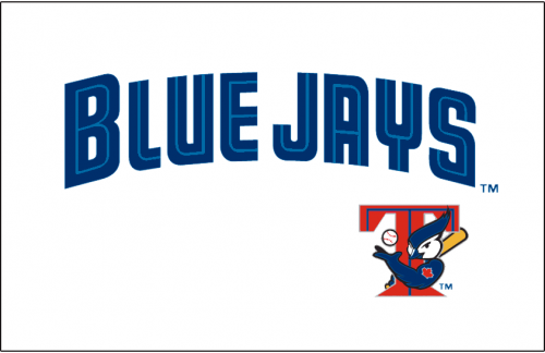 Toronto Blue Jays 2001-2002 Jersey Logo heat sticker