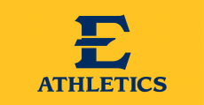 ETSU Buccaneers 2014-Pres Alternate Logo heat sticker
