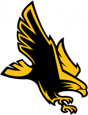 Southern Miss Golden Eagles 2003-Pres Alternate Logo custom vinyl decal