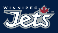 Winnipeg Jets 2011 12-2017 18 Wordmark Logo 02 custom vinyl decal