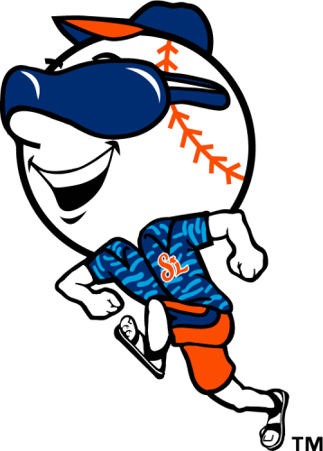 St. Lucie Mets 2013-Pres Secondary Logo heat sticker