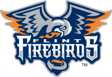 Flint Firebirds 2015 16-Pres Primary Logo custom vinyl decal