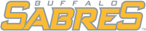 Buffalo Sabres 2006 07-2012 13 Wordmark Logo 02 heat sticker