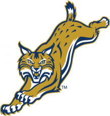 Quinnipiac Bobcats 2002-2018 Alternate Logo 06 heat sticker
