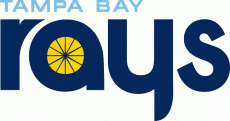 Tampa Bay Rays 2012-2018 Wordmark Logo heat sticker