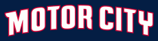 Detroit Pistons 2013-2014 Pres Wordmark Logo heat sticker