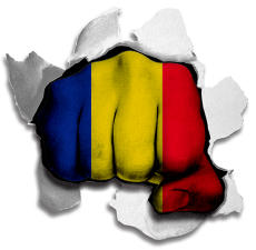 Fist Romania Flag Logo custom vinyl decal