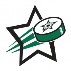 Dallas Stars Hockey Goal Star logo heat sticker