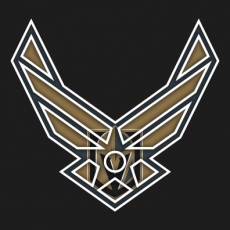 Airforce Vegas Golden Knights logo heat sticker