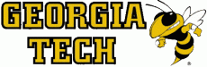 Georgia Tech Yellow Jackets 1991-Pres Wordmark Logo heat sticker