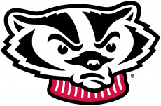 Wisconsin Badgers 2002-Pres Secondary Logo 02 heat sticker