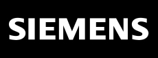 Siemens brand logo 04 custom vinyl decal
