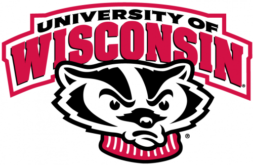 Wisconsin Badgers 2002-Pres Secondary Logo heat sticker