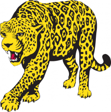 South Alabama Jaguars 1993-2007 Partial Logo 07 custom vinyl decal