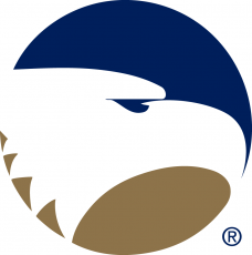 Georgia Southern Eagles 2004-Pres Alternate Logo heat sticker