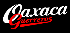 Oaxaca Guerreros 2000-Pres Wordmark Logo 2 heat sticker