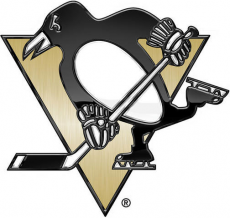 Pittsburgh Penguins 2013 14 Special Event Logo heat sticker