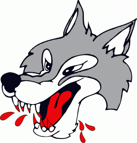 Sudbury Wolves 2009 10-Pres Primary Logo custom vinyl decal